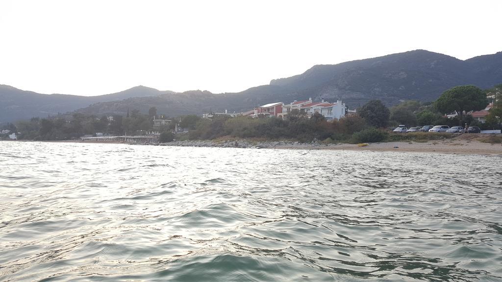 Apartments Bela Palaiontsiflikion Bagian luar foto